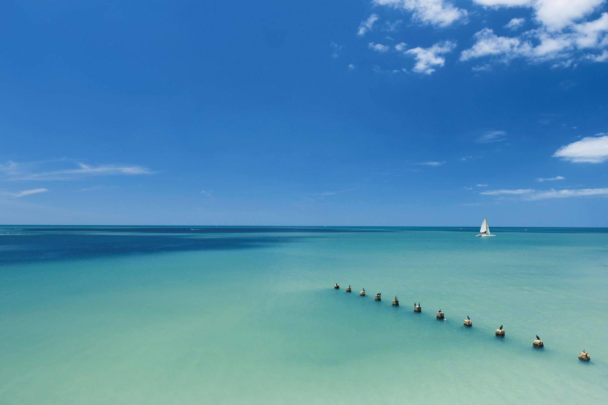 Opal Sands Clearwater Beach Eksteriør billede